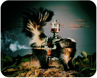Illustration for article titled Scenes from the Cyborg Forest, where animals make up for their shortcomings with technology